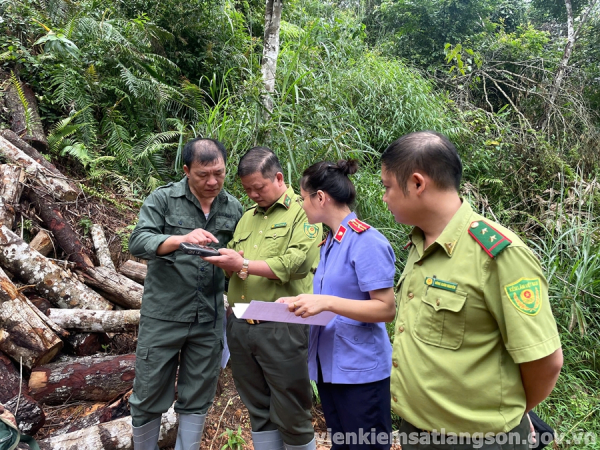 VKSND khu vực 2 kiểm s&aacute;t vụ Vi phạm quy định về khai th&aacute;c, bảo vệ rừng v&agrave; l&acirc;m sản xảy ra tại x&atilde; Hội Hoan, tỉnh Lạng Sơn